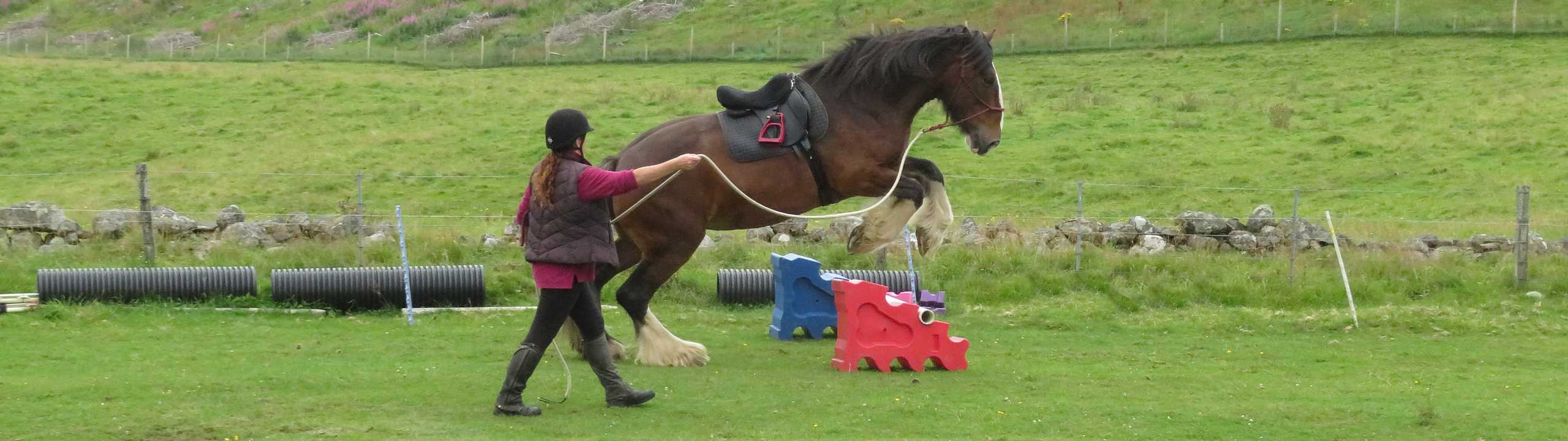 práce ze země banner